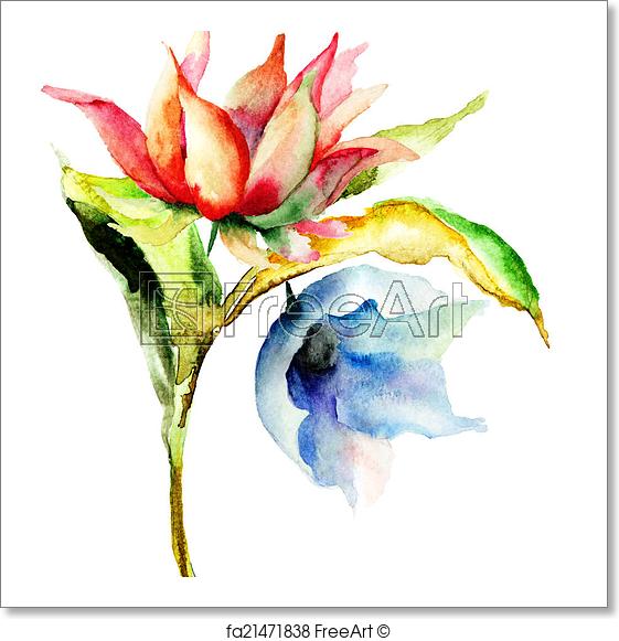 561x581 free art print of original summer flowers original summer flowers