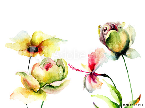 500x375 Original Summer Flowers, Watercolor Illustration