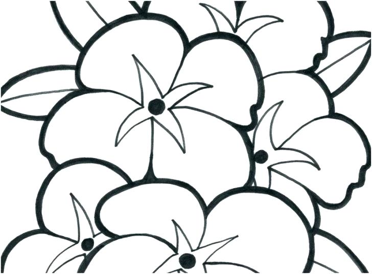 728x536 Sunflower Printable Medium Size Of Summer Flowers Ring Pages