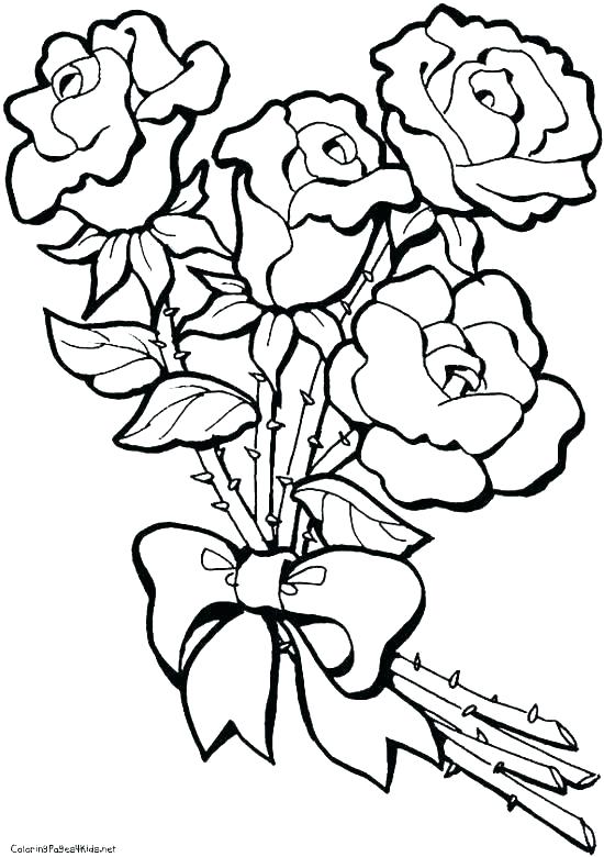 550x780 Summer Flowers Coloring Pages Palmarosa