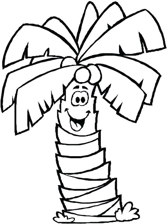 590x786 Palm Tree Coloring Pages For Kids
