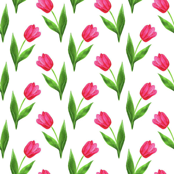 600x600 Summer Season Drawings