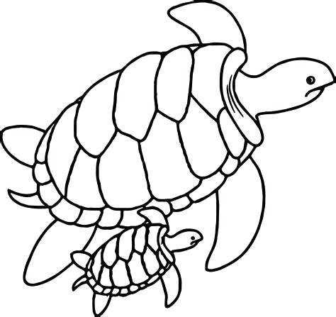 474x447 sea turtle outline sea turtle outline icon summer vacation sea
