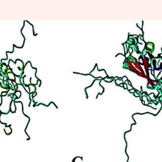 320x320 Schematic Drawing Of The Three Sumo Proteins Using Software Yasara
