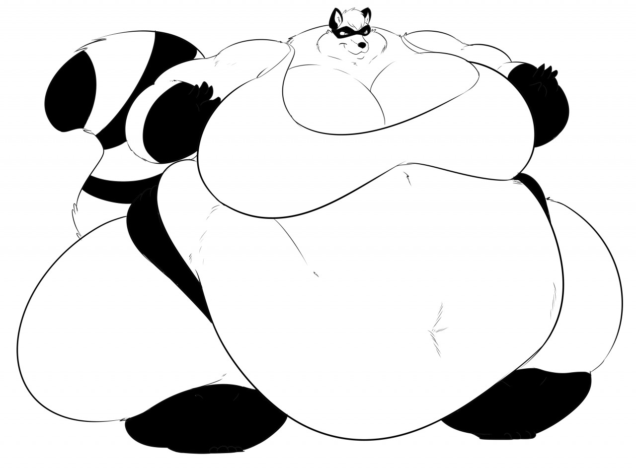 1280x943 Raccoon Sumo Wrestler Ready!!