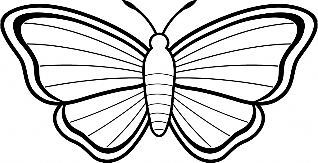 1024x524 Simple Butterfly And Flower Drawing For Kids