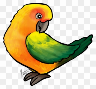 320x294 Sun Conure Clipart