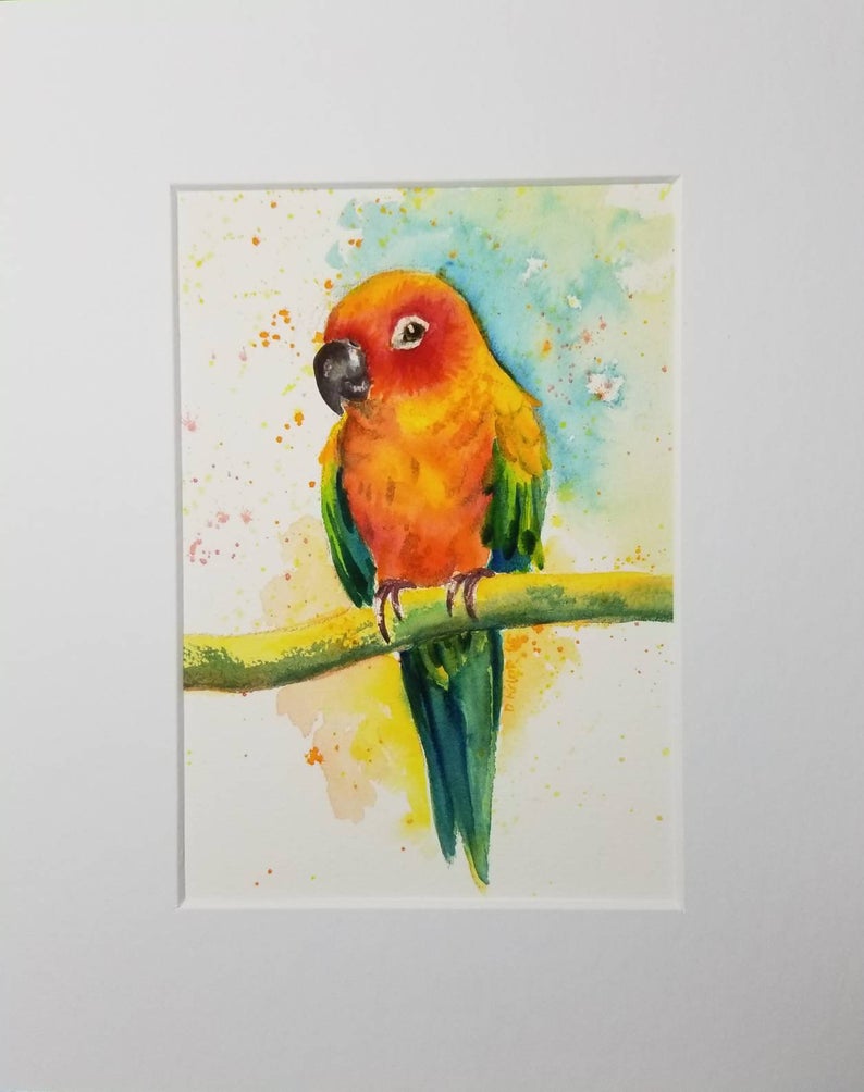 794x1004 Sun Conure Watercolor Giclee Etsy