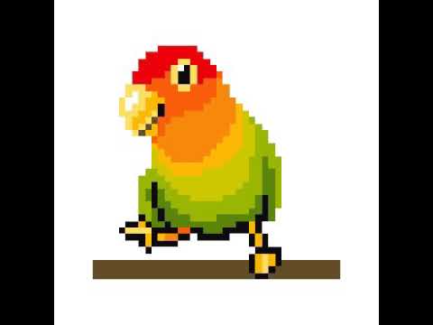 480x360 Sun Conure Sandbox Draw