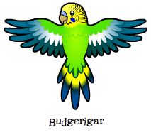 213x190 Archive Birds