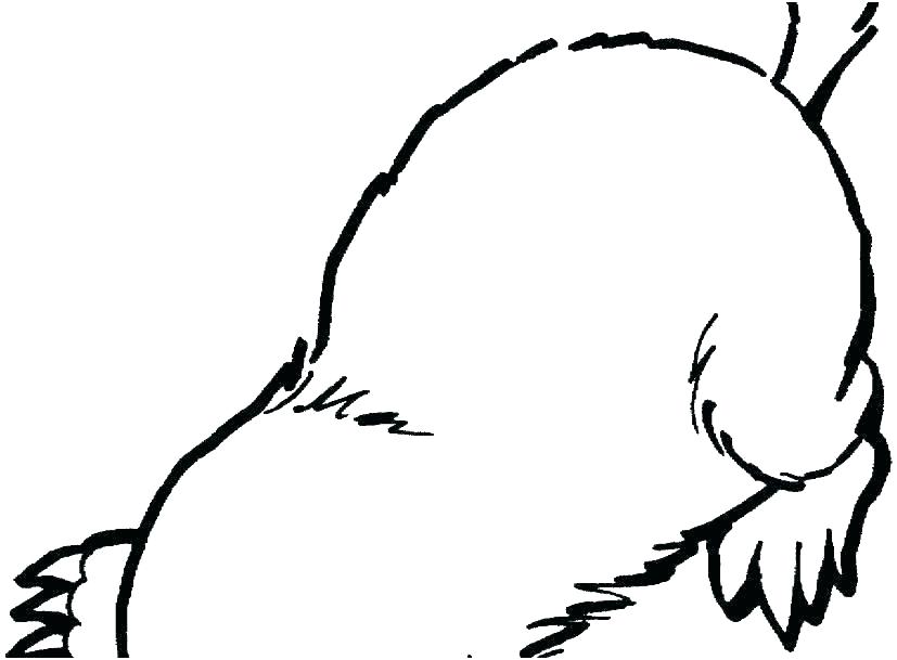 827x609 Moon And Stars Coloring Pages