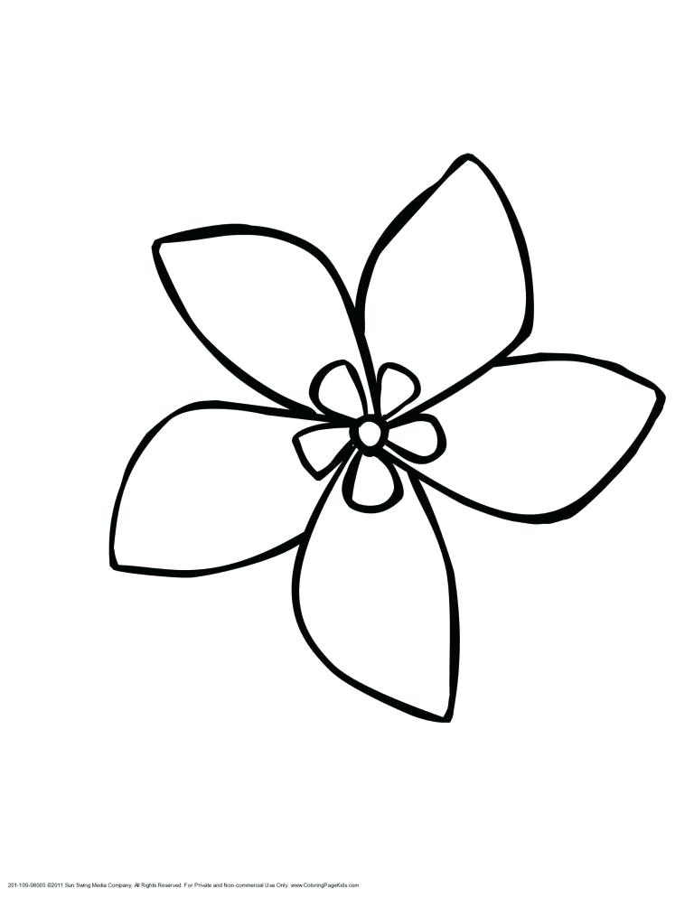 768x994 Drawing Of Hawaiian Flower Lovely Pencil Drawings Of Flowers