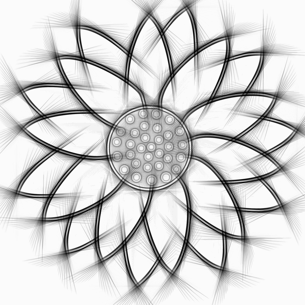 1280x1280 Sun Flower,abstract,pencil,flower,free Pictures