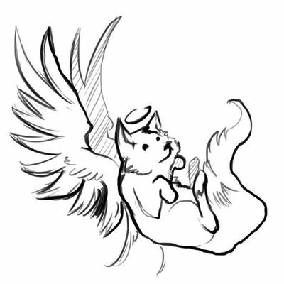 400x400 Sunbeam Foks