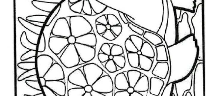 728x320 Free Printable Sunday School Coloring Pages Lovely Beautiful