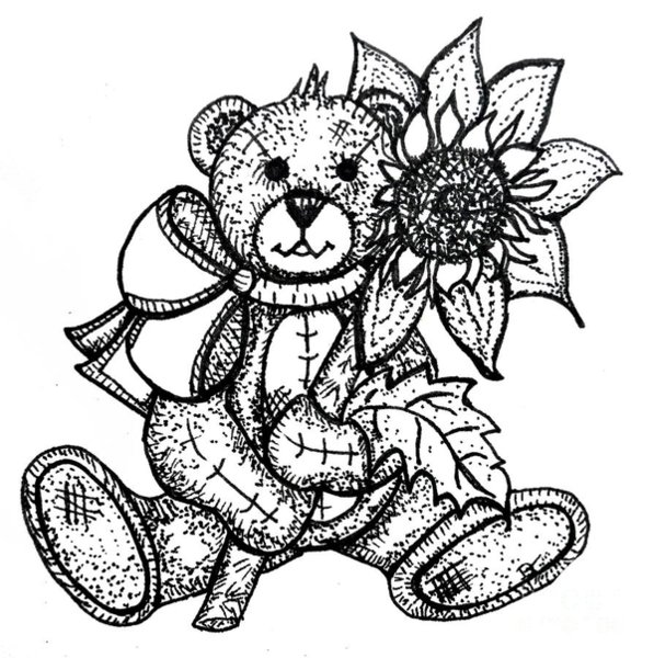 597x600 Black And White Sunflower Drawings Fine Art America