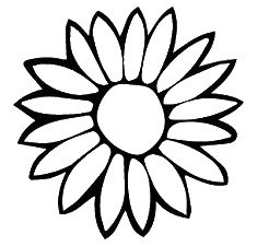 235x225 Sunflower Black And White