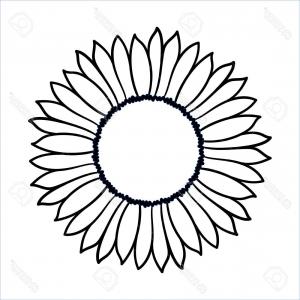 300x300 Sunflower Drawing Black And White Vector Sohadacouri