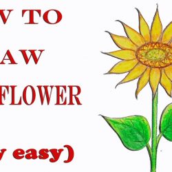 250x250 Drawing Easy Art Cartoon Anime Sunflower Step Aeroplane Dog Ideas