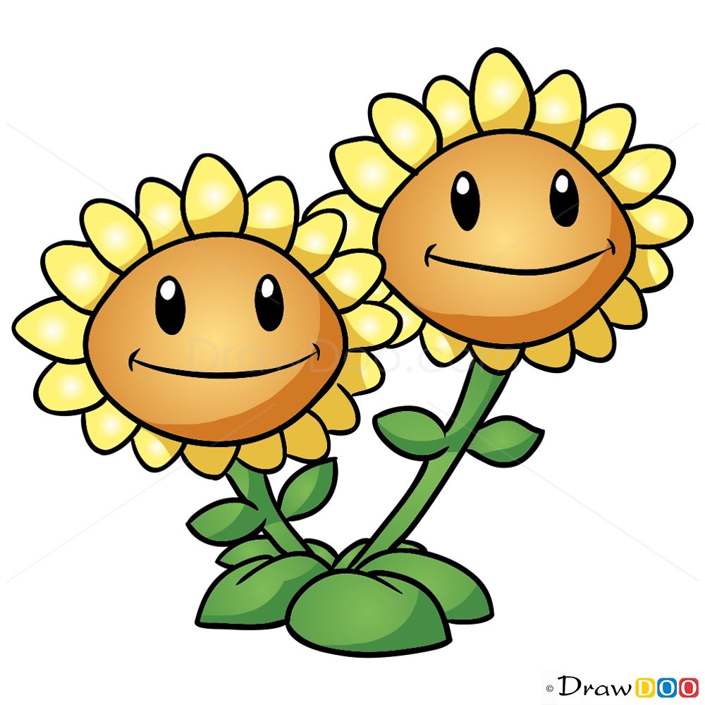 1000x1000 How To Draw Twin Sunflower, Plants Vs Zombies