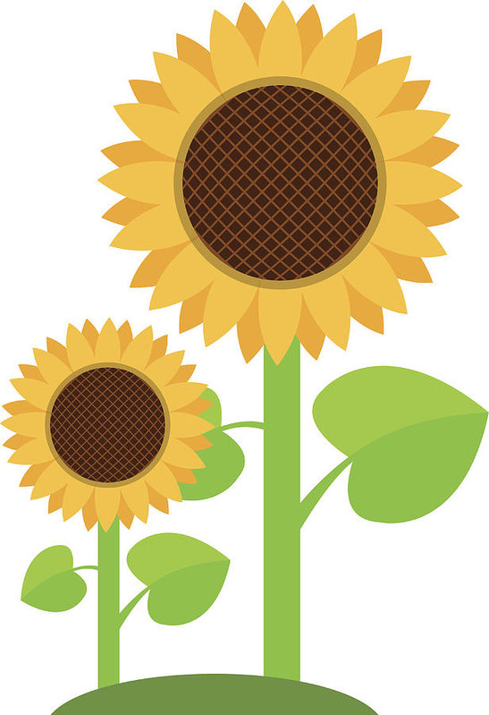 547x799 Sunflowers Logo In Cartoon Style Art Print
