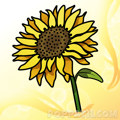 512x512 How To Draw A Sunflower Pop Path