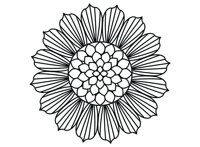 827x609 Simple Sunflower Drawing How To Draw Sunflowers Simple Sunflower