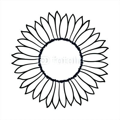 400x400 Simple Sunflower Drawing Vector Doodle Sunflower Illustration