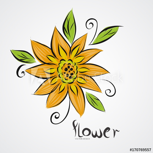 500x500 Yellow Sunflower Drawing,vector Illustration