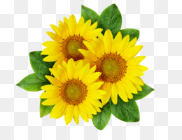 260x200 Drawing Amigurumi Sketch