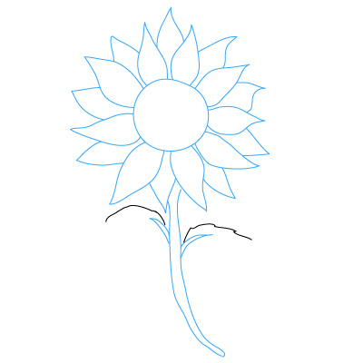 400x400 Pencil Sketches Sunflowers