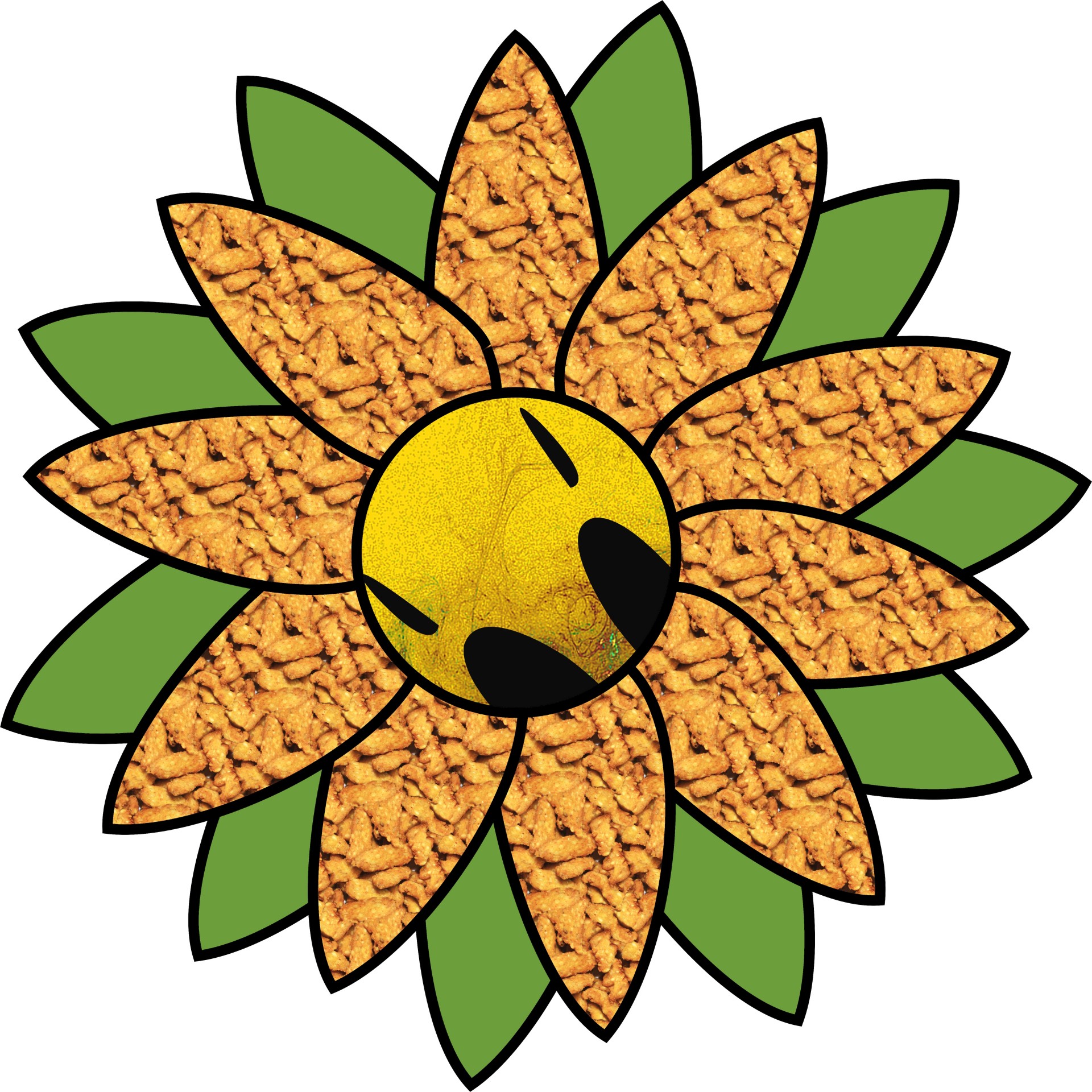 1920x1920 Petals, Drawing, Color, Sunflower, Plant
