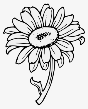300x374 Sunflower Clipart Png Images Png Cliparts Free Download On Seekpng