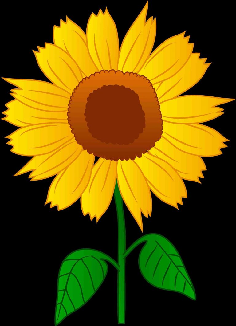 768x1058 Pencil And In Triipy Clipart Triipy Sunflower Drawing Color Tumblr