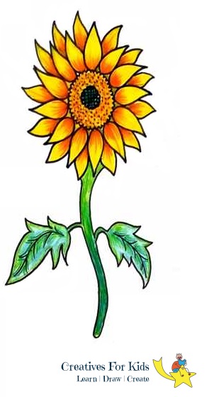295x560 How To Draw A Sunflower