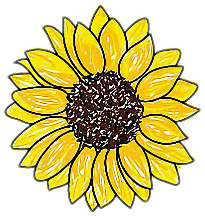 411x433 Download Easy Drawing Of A Sunflower