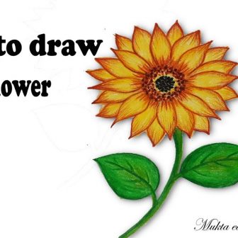 336x336 Drawing Easy Airplane And Beautiful Cute Sunflower Step Anime