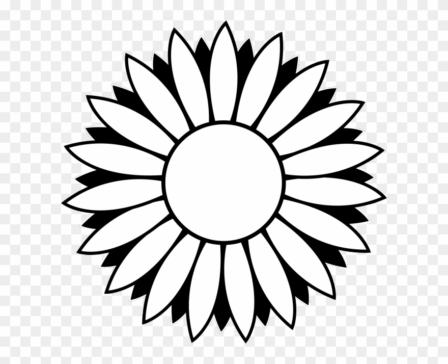 880x714 Sunflower Drawing Black And White Sunflower Drawing