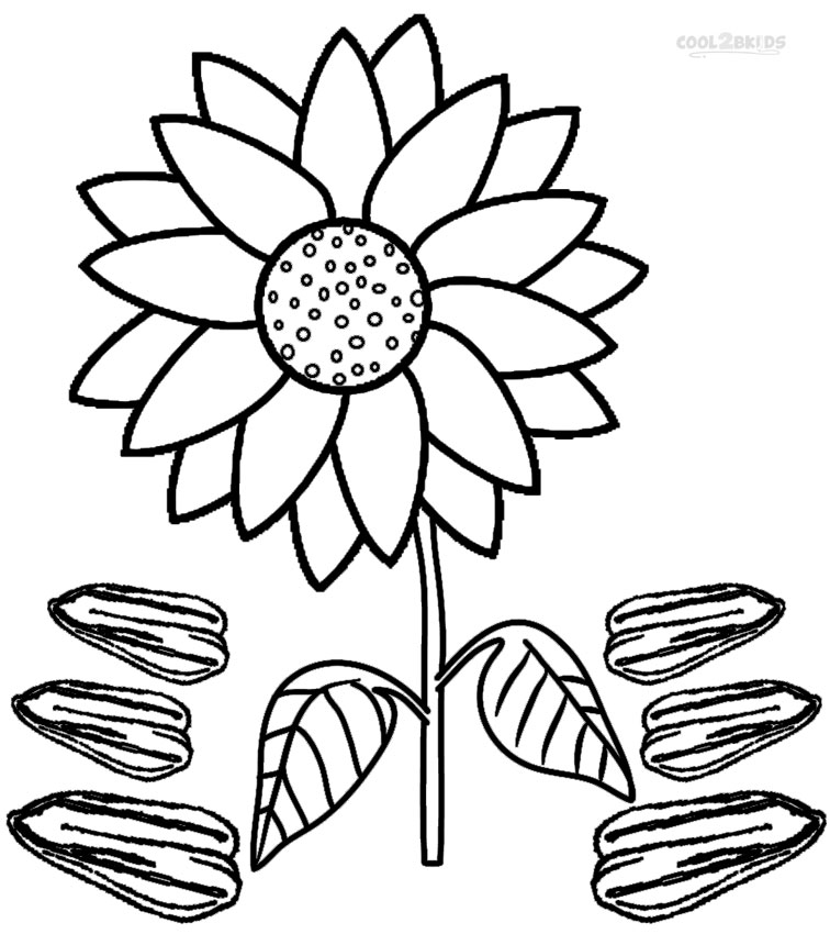 756x850 Sunflower To Color Printable Sunflower Coloring Pages For Kids