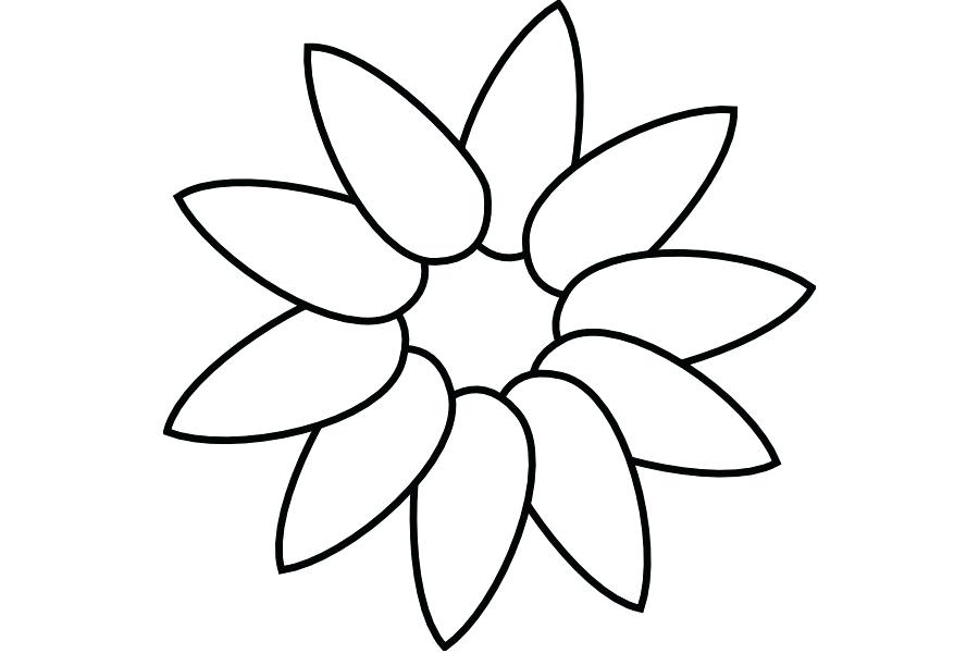 900x600 How To Draw Sunflower Petals Nip