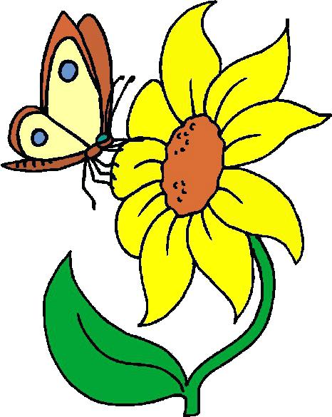 466x585 Sunflower Drawing For Kids Fivegoodthings Club