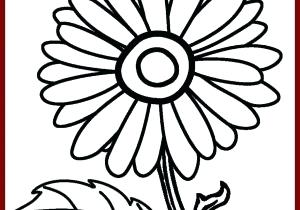 300x210 Sunflower Drawing For Kids Mindbodysoul Club