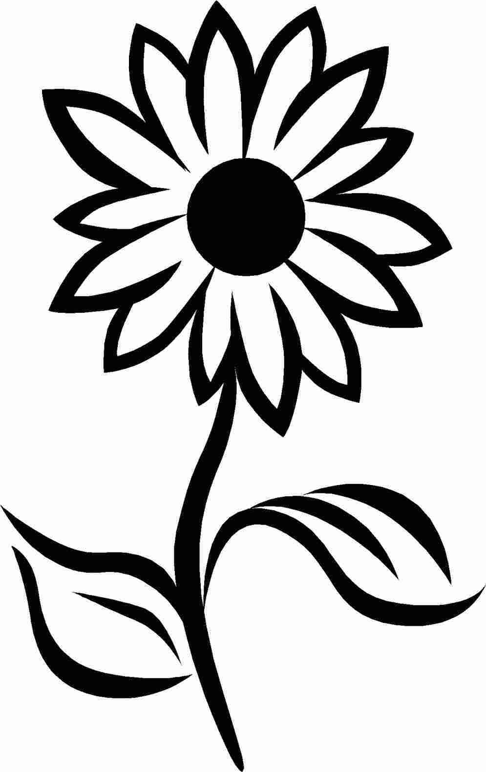 995x1579 Easy Simple Sunflower Drawing