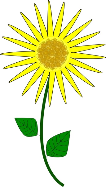 342x600 Flower, Sunflower Free Vector In Open Office Drawing