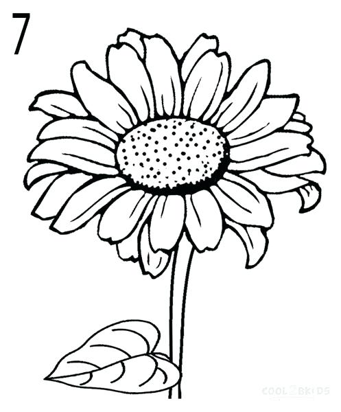 497x600 Simple Sunflower Drawing Drawings Of A Flower Resume Simple