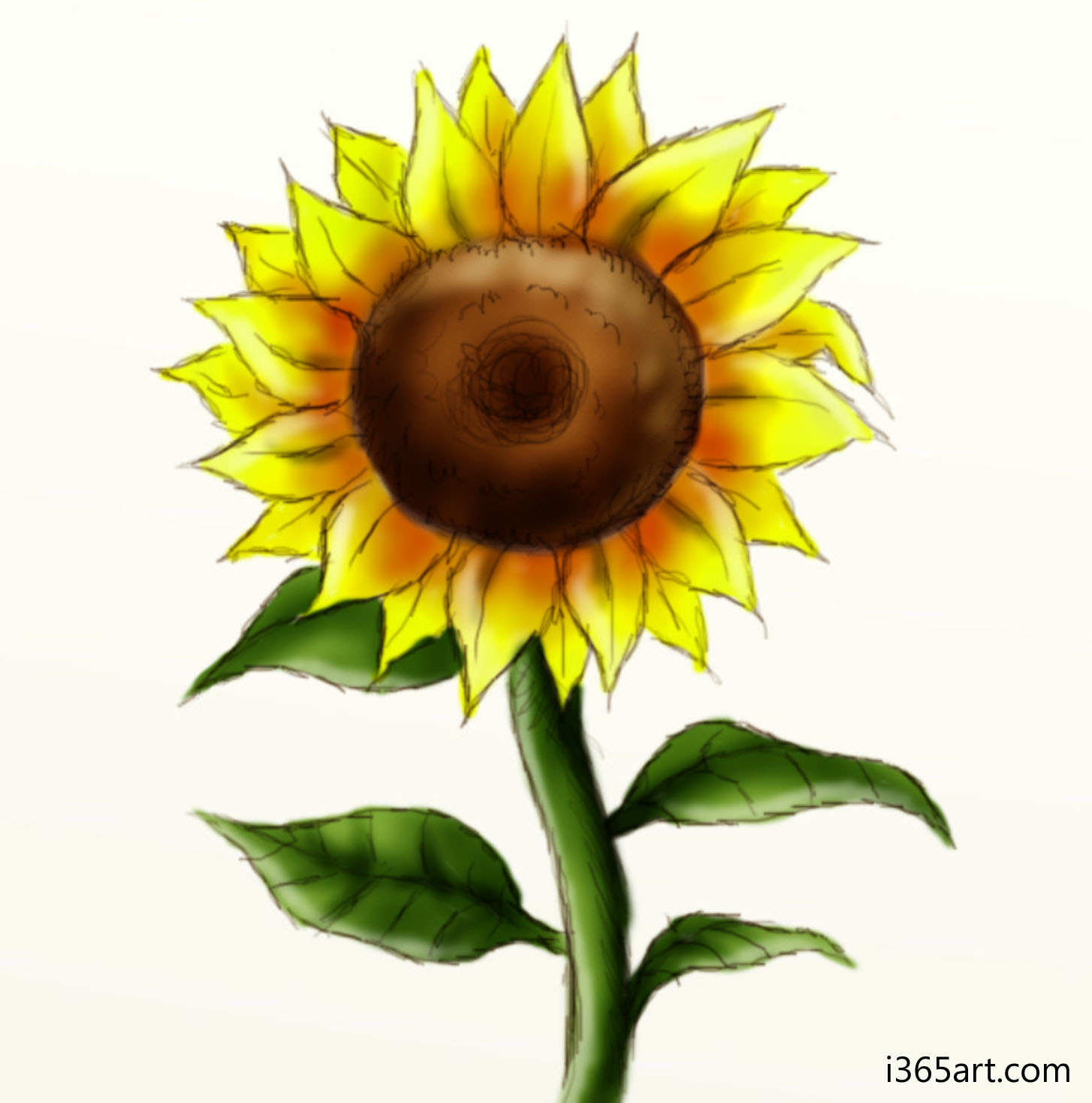 1454x1468 Sunflower Art