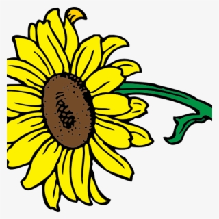 320x320 Sunflower Clipart Png Images Png Cliparts Free Download On Seekpng