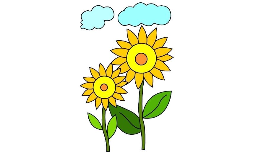 900x520 Sunflower Drawing For Kids Printable Templates Free Sunflower