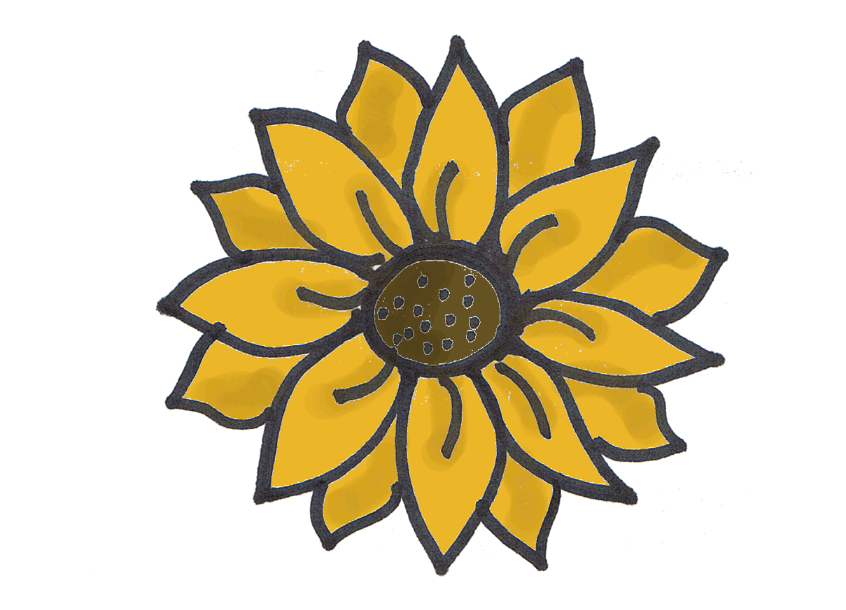 1209x873 Sunflower Drawing Images Free And Sunflower Drawing Images Free