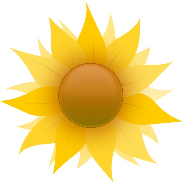 594x594 Sunflower Free Sunflower Clip Art Free Vector In Open Office